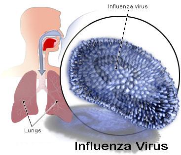 Influenza